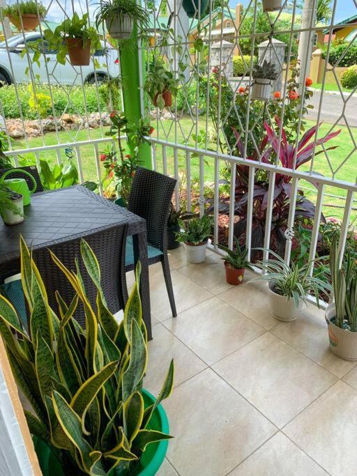 Cozy Villa Mammee Bay 외부 사진